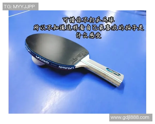乒乓球装备选购指南球拍推荐与使用技巧分享 乒乓球装备选购指南球拍推荐与使用技巧分享