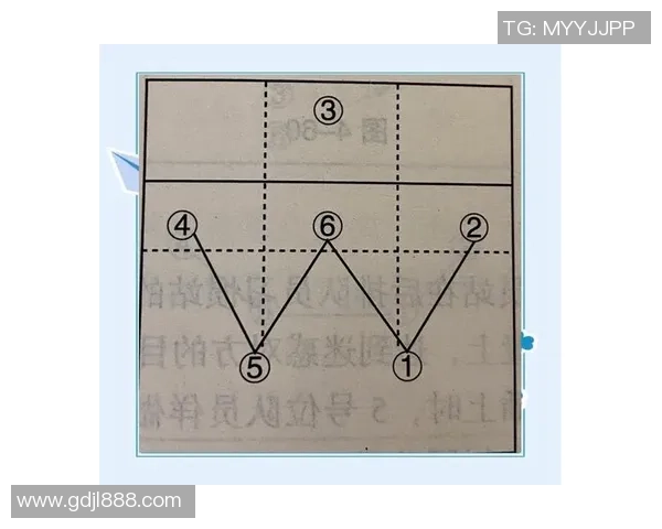 杭州排球队最新战术解析排球战术TOP10全面解读