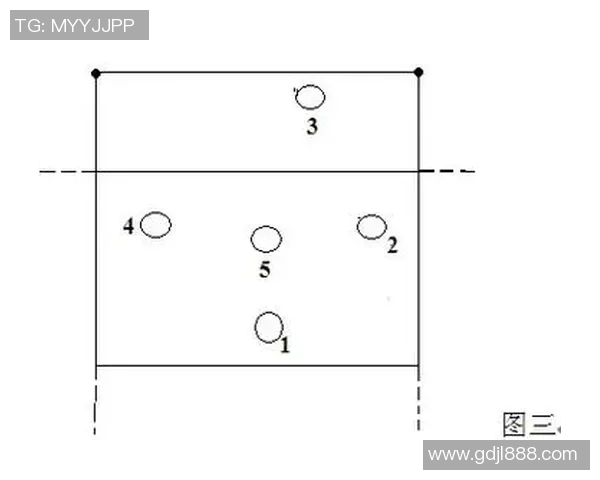 重庆排球队战术表现深度分析与数据解读探讨
