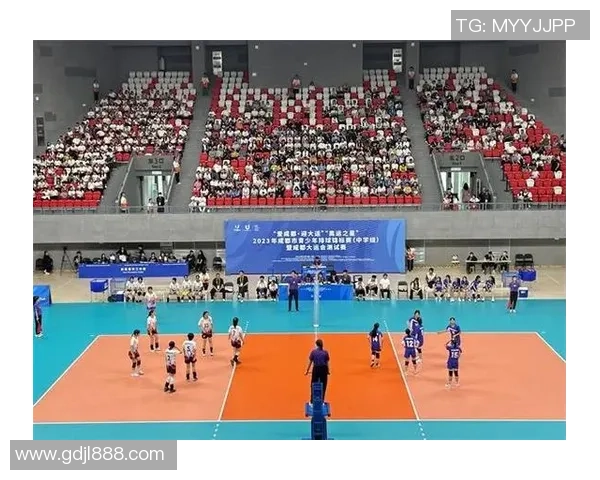 成都排球队选拔赛表现分析：意识与团队协作的深度探讨