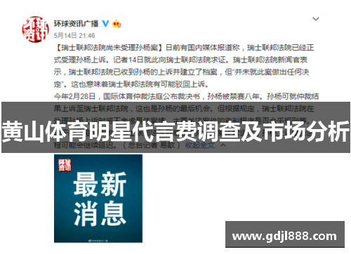 黄山体育明星代言费调查及市场分析