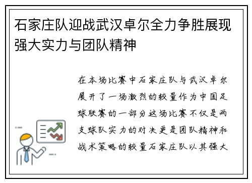 石家庄队迎战武汉卓尔全力争胜展现强大实力与团队精神